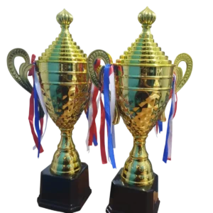 Custom Trophies