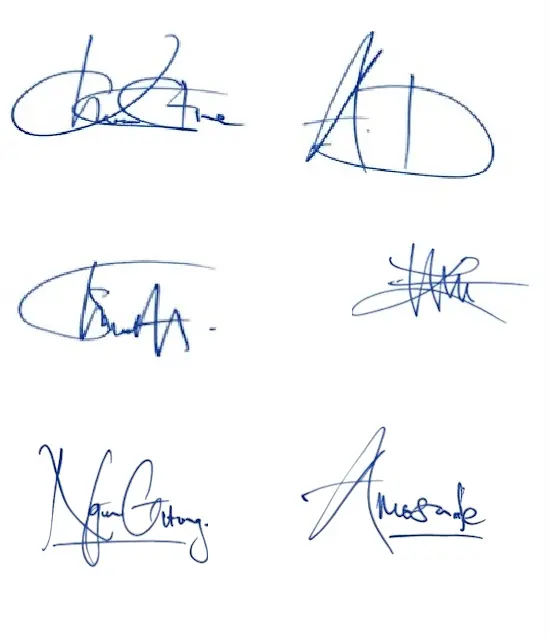 Online Signatures