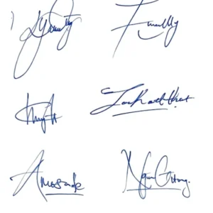 Online Signature